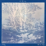 A.ValleyとPolo San Pabloがコラボ曲で巨勢典子をフィーチャー