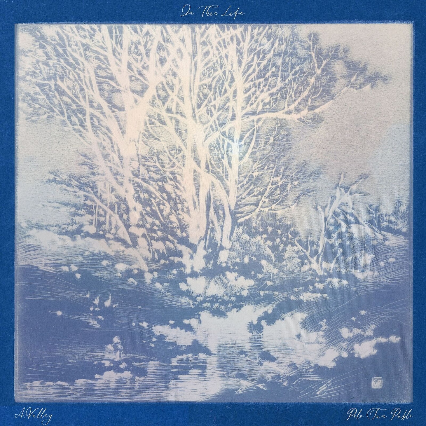 A.Valley・Polo San Pablo feat. 巨勢典子「In This Life」配信ジャケット