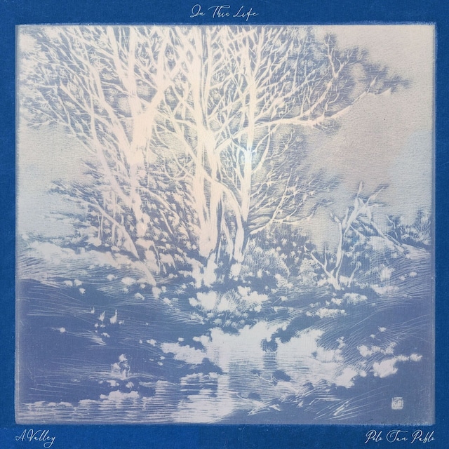 A.Valley・Polo San Pablo feat. 巨勢典子「In This Life」配信ジャケット