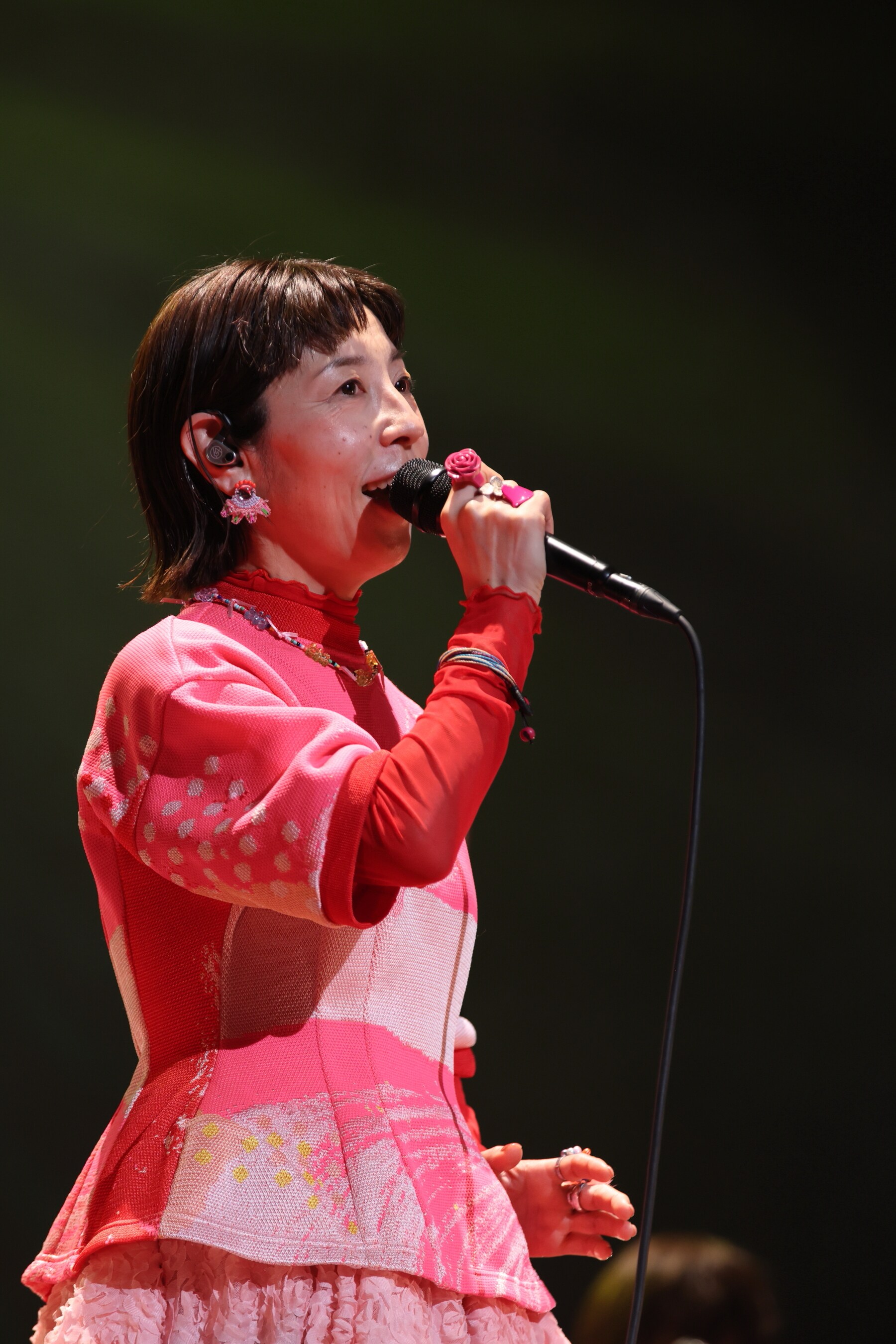 ハンバート ハンバートのツアー「歌ったり喋ったり」バンド篇が終幕