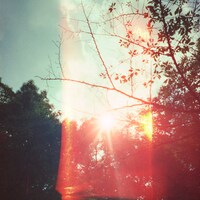 ZARUKAME「この道の先に」配信ジャケット