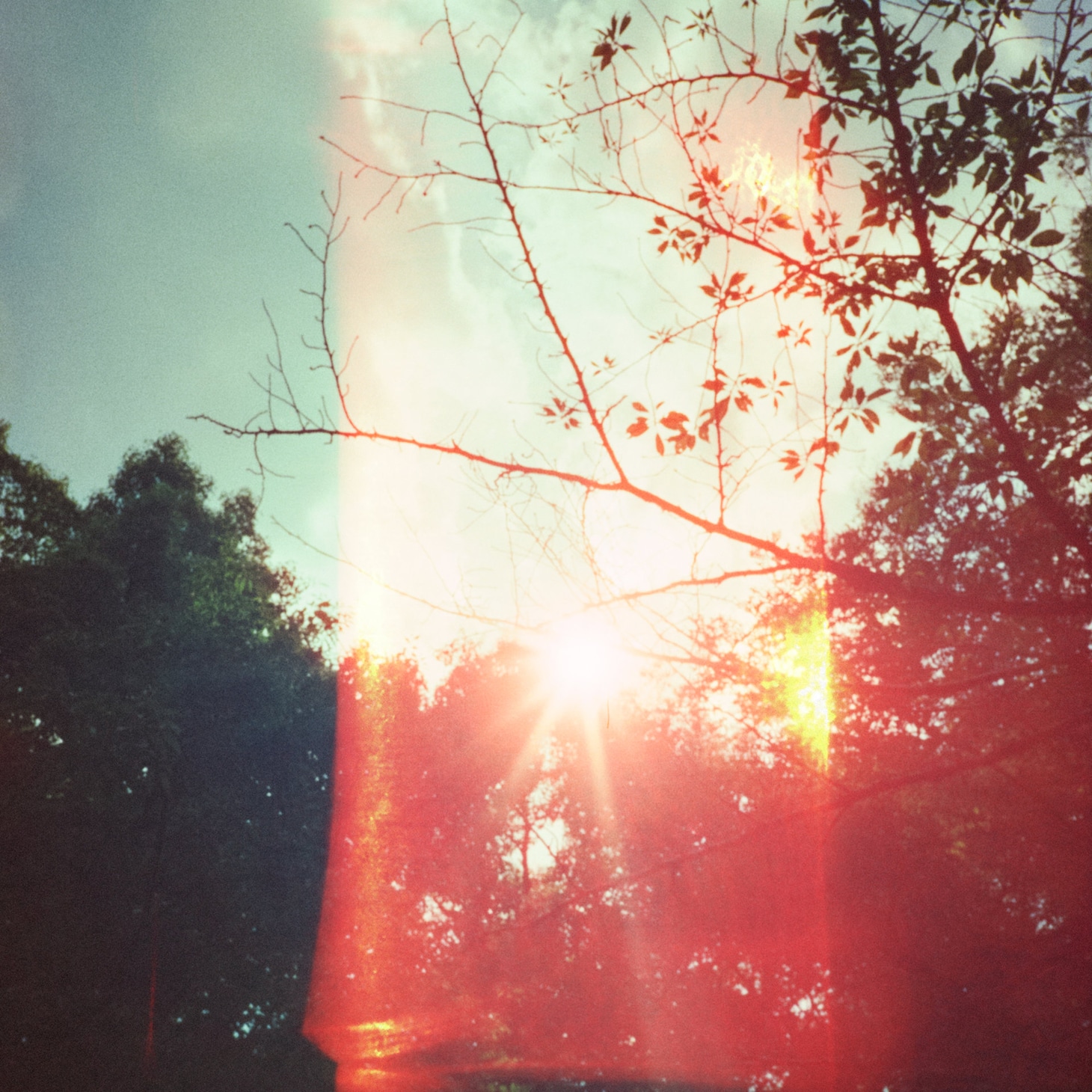 ZARUKAME「この道の先に」配信ジャケット