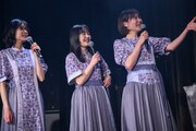 自由なNegicco。