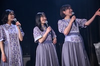 自由なNegicco。