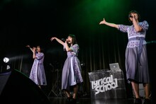 Negicco