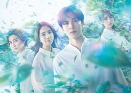 SixTONES京本大我出演ドラマ「10回切って倒れない木はない」志尊淳らと並ぶキービジュアル公開