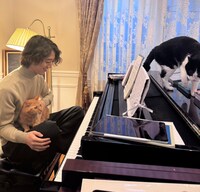 角野隼斗と愛猫のチェロちゃん、プリンちゃん。