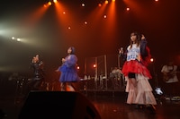 「三月春のパン(タシア)祭り 2026 -フレンズの春-」アンコールの様子。（撮影：入日伸介）