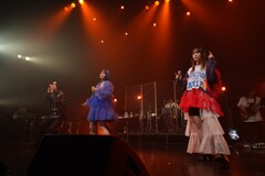 三月のパンタシアが“フレンズ”のヒトリエ、CHiCOと迎えた特別な春