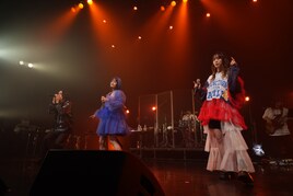 三月のパンタシアが“フレンズ”のヒトリエ、CHiCOと迎えた特別な春