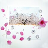 永原真夏「花爛漫」ジャケット