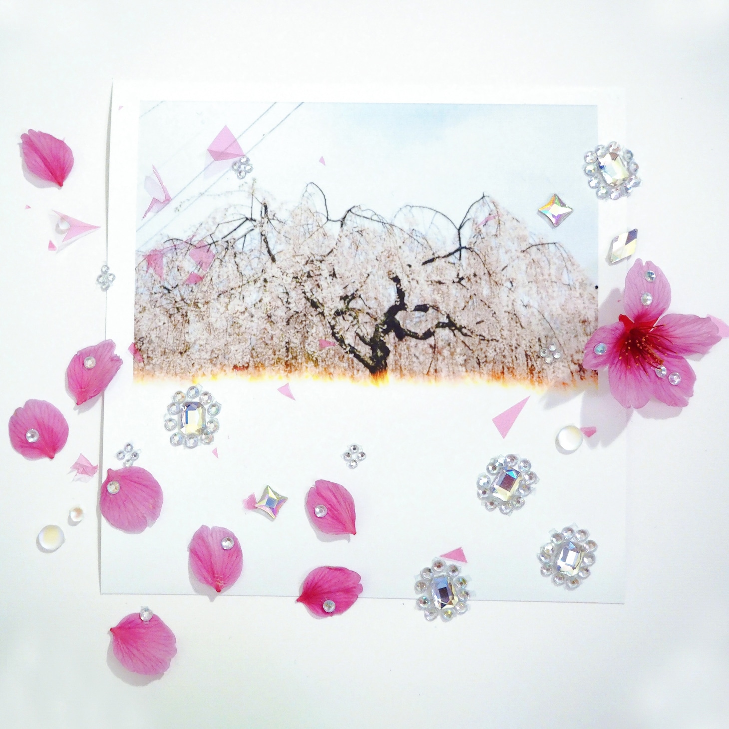 永原真夏「花爛漫」ジャケット