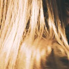 kanekoayano武道館公演を音源化、全25曲収録