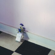 Phonia「swan」ジャケット