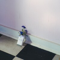 Phonia「swan」ジャケット