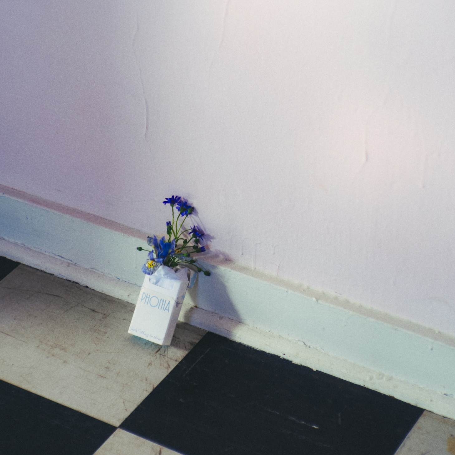 Phonia「swan」ジャケット