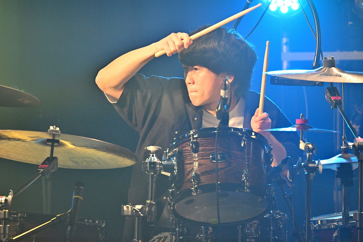 タカトマンダ（Dr / シャイトープ）