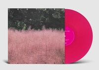 TESTSET「ALL HAZE」アナログ盤