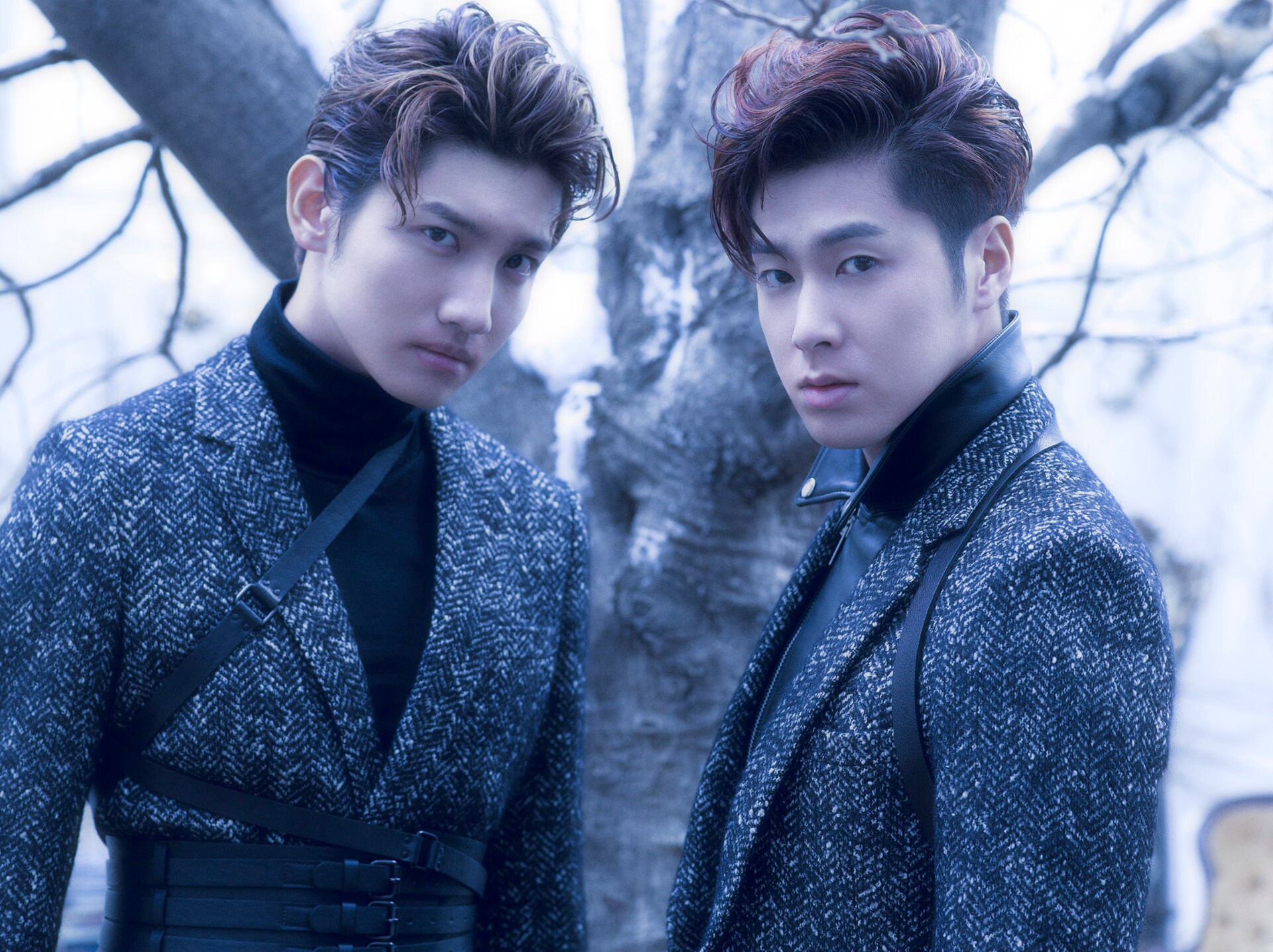東方神起 LIVE TOUR 2014 ～TREE～」より。 [画像ギャラリー 6/19