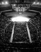 青葉市子 Royal Albert Hall公演の様子。（Photo by Ellie Slorick）