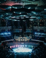 青葉市子 Royal Albert Hall公演の様子。（Photo by Ellie Slorick）