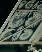 青葉市子 Royal Albert Hall公演の様子。（Photo by Ellie Slorick）