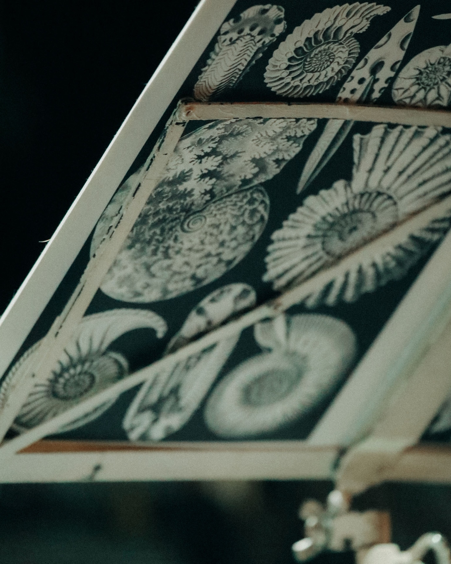 青葉市子 Royal Albert Hall公演の様子。（Photo by Ellie Slorick）