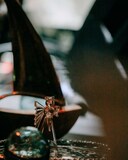 青葉市子 Royal Albert Hall公演の様子。（Photo by Ellie Slorick）