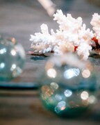 青葉市子 Royal Albert Hall公演の様子。（Photo by Ellie Slorick）