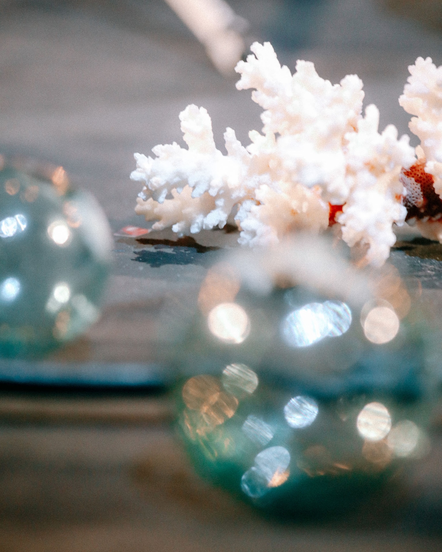 青葉市子 Royal Albert Hall公演の様子。（Photo by Ellie Slorick）