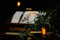 青葉市子 Royal Albert Hall公演の様子。（Photo by Ellie Slorick）