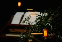 青葉市子 Royal Albert Hall公演の様子。（Photo by Ellie Slorick）