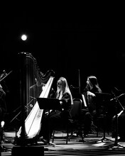 青葉市子 Royal Albert Hall公演の様子。（Photo by Ellie Slorick）