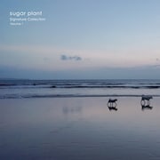 sugar plant、ベストアルバムをアナログ盤2タイトルでリリース