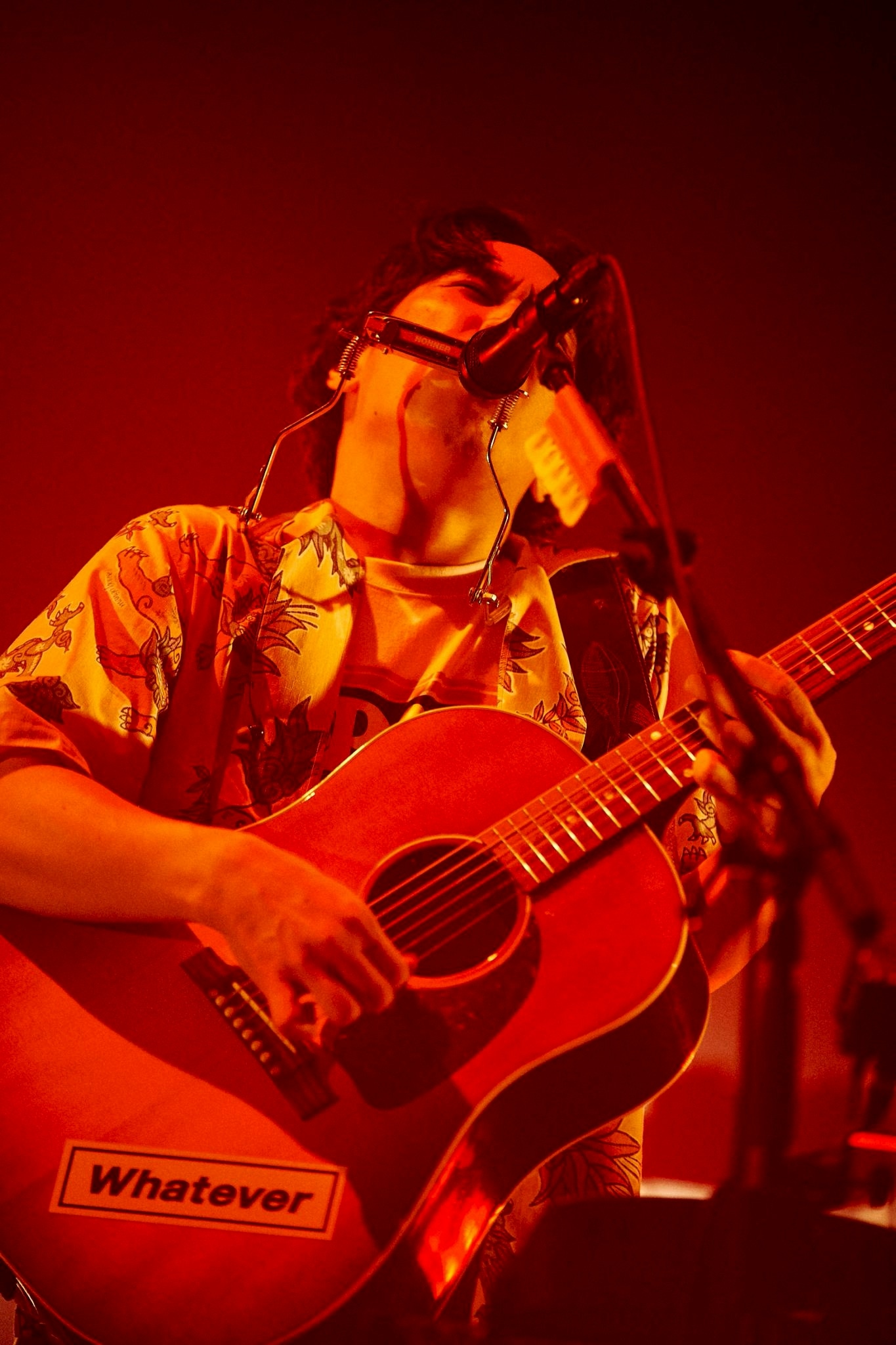 はっとり（Vo, G）（撮影：酒井ダイスケ）