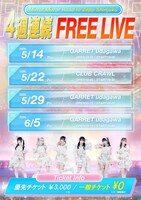 「Mirror,Mirror Road to Zepp Shinjuku 4週連続FREE LIVE」フライヤー