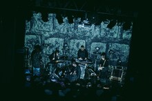 downy（Photo by endo rika）