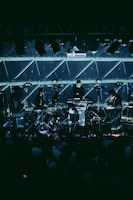 downy（Photo by endo rika）