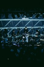 downy（Photo by endo rika）