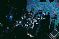 downy（Photo by endo rika）