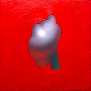 皆川溺「カマキリ」ジャケット