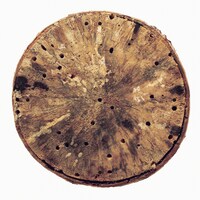 角銅真実「ほろろ逍遥」配信ジャケット