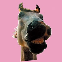 ザ・ハイロウズ「Do!! The★MUSTANG」ジャケット