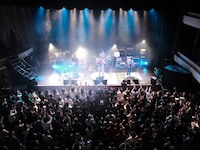 グソクムズ（撮影：小財美香子）