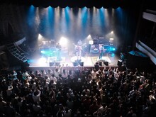 グソクムズ（撮影：小財美香子）