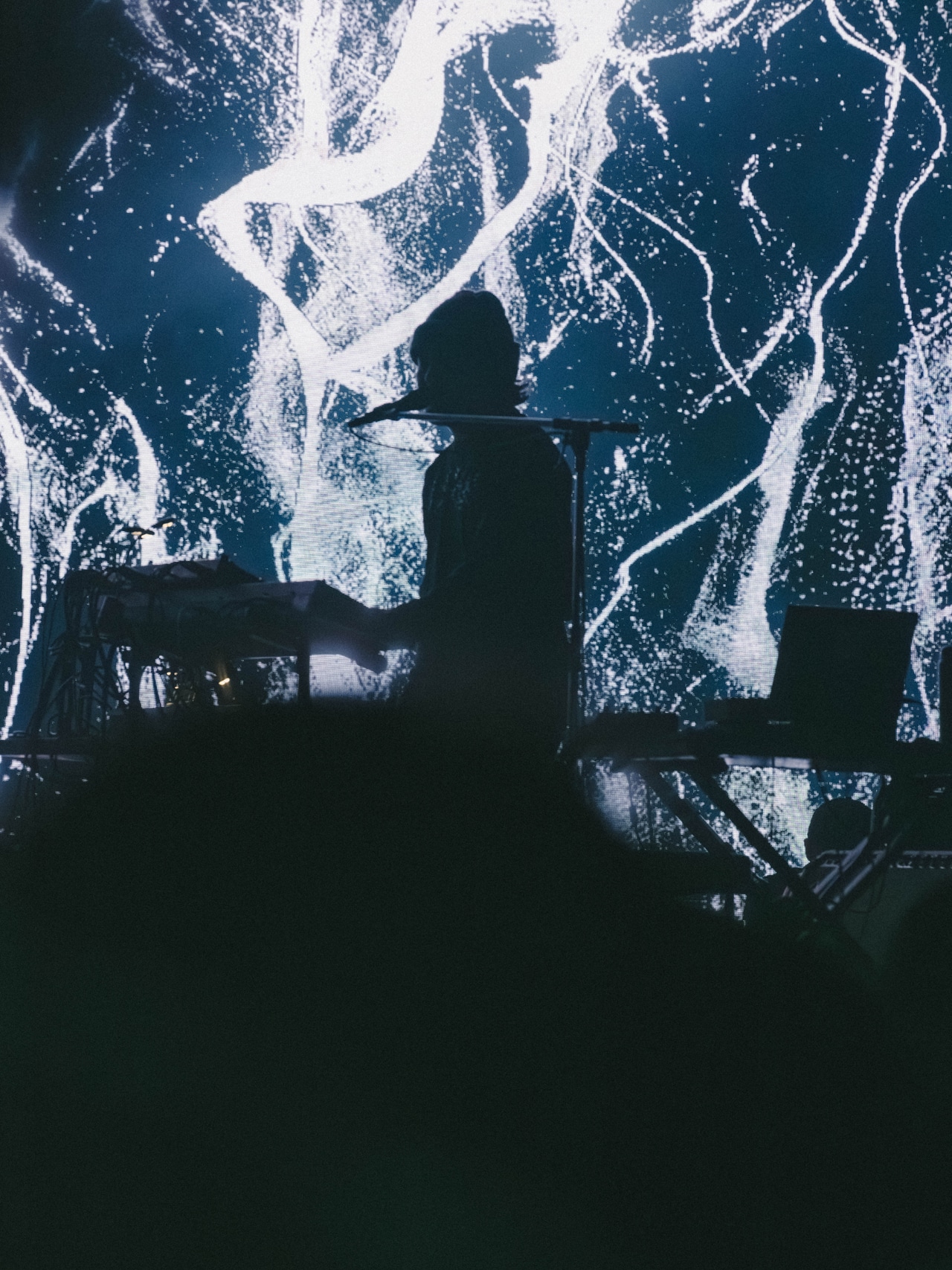 櫻木大悟（G, Vo, Syn / D.A.N.）