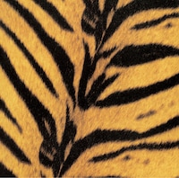 ザ・ハイロウズ「タイガーモービル」ジャケット