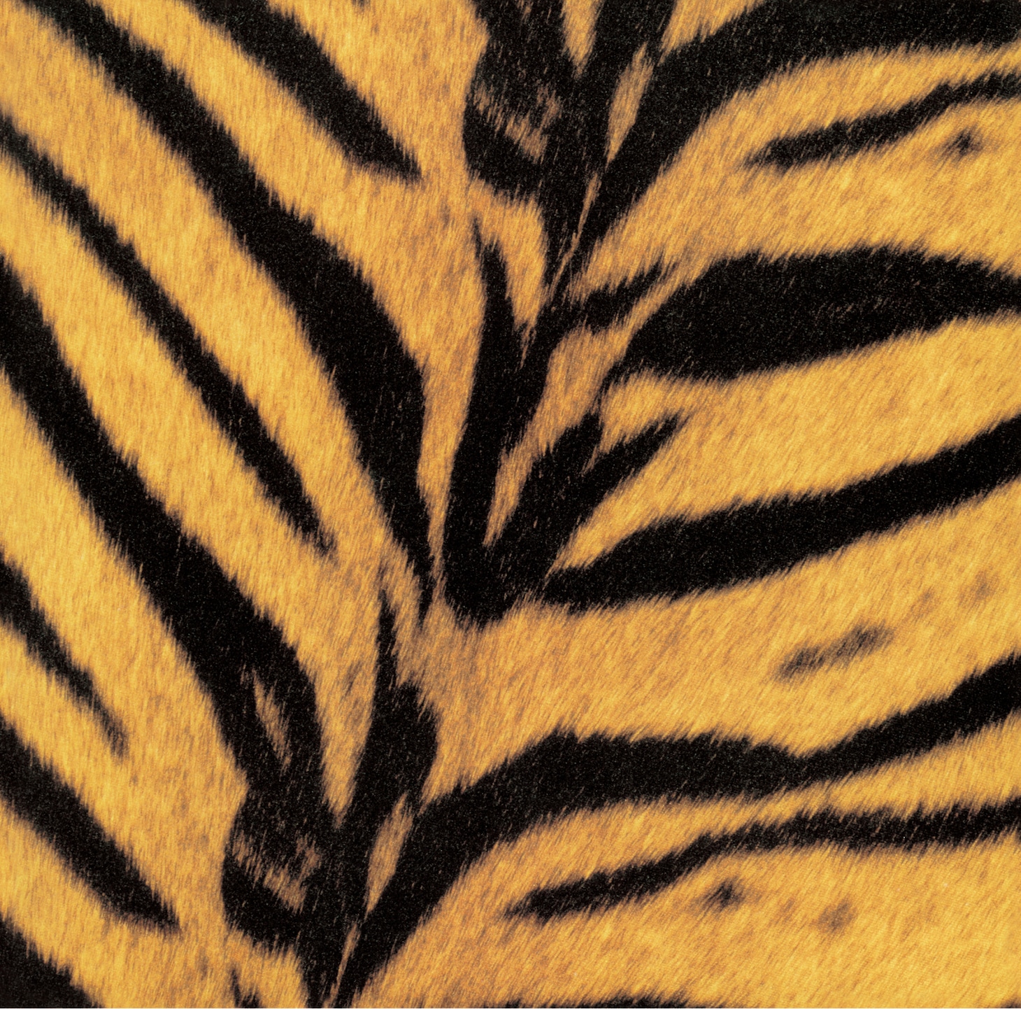 ザ・ハイロウズ「タイガーモービル」ジャケット