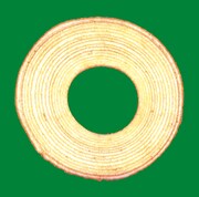 ザ・ハイロウズ「バームクーヘン」ジャケット