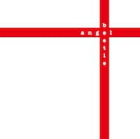 ザ・ハイロウズ「angel beetle」ジャケット